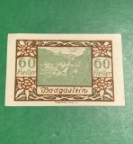 Bancnota Notgeld 60 heller 31 decembrie 1920