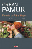 Femeia cu Parul Rosu &ndash; Orhan Pamuk