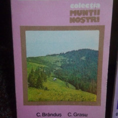 C. Brandus - Muntii Tarcau (1987)