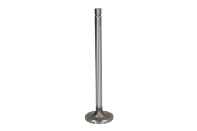 Intake valve (44x9.9x169.8mm) XF 106 fits: DAF CF. XF 106 MX-13303-MX-13390 10.12- foto