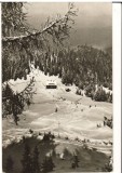 CPIB 15947 CARTE POSTALA - MUNTII BUCEGI. CABANA &quot;DIHAM&quot; SI PARTIA DE SCHI
