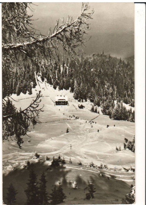 CPIB 15947 CARTE POSTALA - MUNTII BUCEGI. CABANA &quot;DIHAM&quot; SI PARTIA DE SCHI