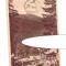 CP Platinis - Vedere, RPR, circulata 1954, stare buna