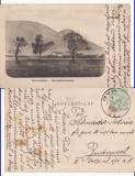 Zarnesti (Brasov ) - Fabrica- rara