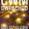 Cwm Gwrachod: A Novel for Welsh Learners