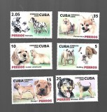 cuba caini mnh