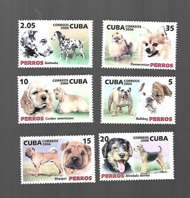 cuba caini mnh foto