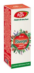 Spray pentru gat Biosept, 20ml, Fares