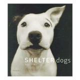 Shelter dogs