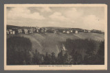 CPIB 20896 - CARTE POSTALA - STEINHELD VON DER HELENEN RUHE AUS, Necirculata, Fotografie