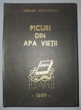 NICOLAE MOLDOVEANU - PICURI DIN APA VIEŢII