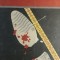 myh 533 - ENIGMA LA MANSARDA - RODICA OJOG BRASOVEANU - ED 1971