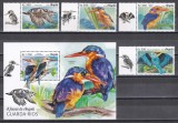Angola 2018 - Pescăruși albaștri, Serie cu Tapsuri + Colita, MNH