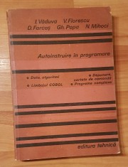 Autoinstruire in programare. Date, algoritmi de I. Vaduva