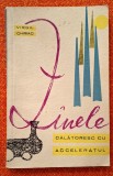 Zinele/zanele calatoresc cu acceleratul - numai pentru cine e, sau a fost copil - Virgil Chiriac, carte veche, editura Tineretului, 1965