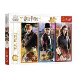 Cumpara ieftin Puzzle Trefl In lumea magiei, 200 piese