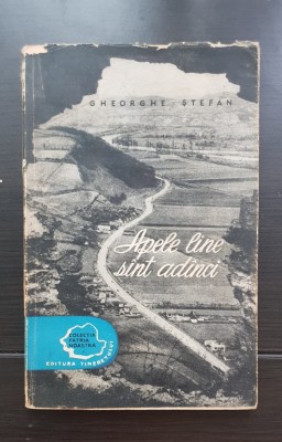 Apele line sunt ad&amp;acirc;nci - Gheorghe Ștefan foto