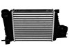 Radiator Intercooler Duster 53576 80996