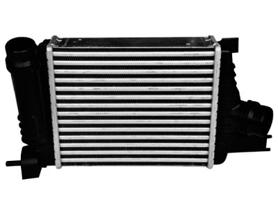 Radiator Intercooler Duster 53576 80996 foto