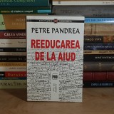 PETRE PANDREA - REEDUCAREA DE LA AIUD ( JURNAL PENITENCIAR : 1961-1964 ) , 2000 *