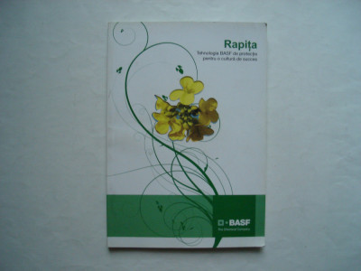 Rapita. Tehnologia BASF de protectie pentru o cultura de succes foto