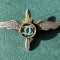 Insigna Pilot Militar Carol 2