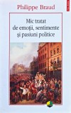 Mic tratat de emotii, sentimente si pasiuni politice - 2008 - Philippe Braud (C241)