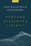 Furtuna dinaintea liniștii