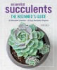 Essential Succulents: The Beginner&#039;s Guide