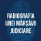 Radiografia Unei Marsavii Judiciare, Traian Berbeceanu - Editura Curtea Veche