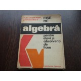 FISE DE ALGEBRA - N.CHIRCOIASIU