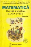 Adrian Ciupitu, Gheorghe Nicolaescu, Gheorghe Drugan - Matematica. Exercitii si