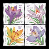 Br&acirc;ndușe 2022 LP 2359