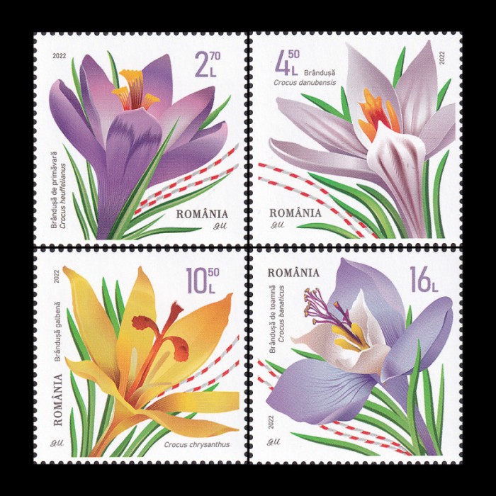 Br&acirc;ndușe 2022 LP 2359