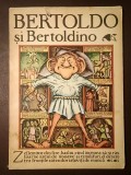 Bertoldo și Bertoldino: poveste populară italiană (ilustrații Silviu Băiaș; 1984)