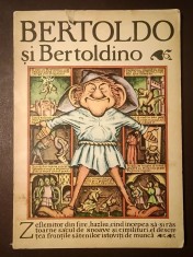 Bertoldo și Bertoldino: poveste populară italiană (ilustrații Silviu Băiaș; 1984)