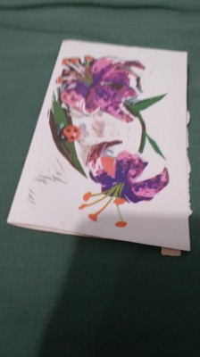 TELEGRAMA FELICITARE CIRCULATA foto