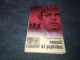 VIORICA NICOARA - CEASUL AL SAPTELEA