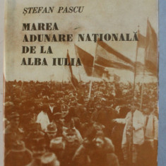 MAREA ADUNARE NATIONALA DE LA ALBA IULIA de STEFAN PASCU , 1968