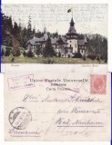 Sinaia (clasica) - Castelul Peles - clasica