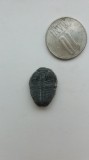 Fosila Trilobit Elrathia Kingi 2, Cambrian mediu