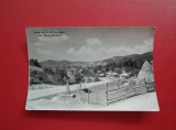 CARTE POSTALA - RPR - DRUM PE VALEA SBLANICULUI SPRE SLANIC MOLDOVA ( indoita )