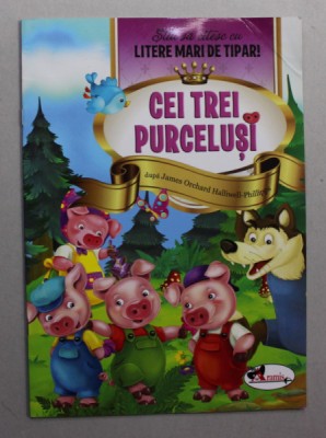 CEI TREI PURCELUSI dupa JAMES ORCHARD HALLIWELL - PHILIPPS , 2016 foto