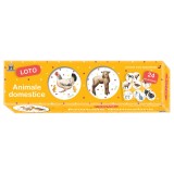 Primele mele descoperiri: Animale domestice - Loto
