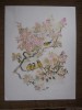 Litografie print,semnata in placa Mads Stage,40x30,5cm(vezi descriere)