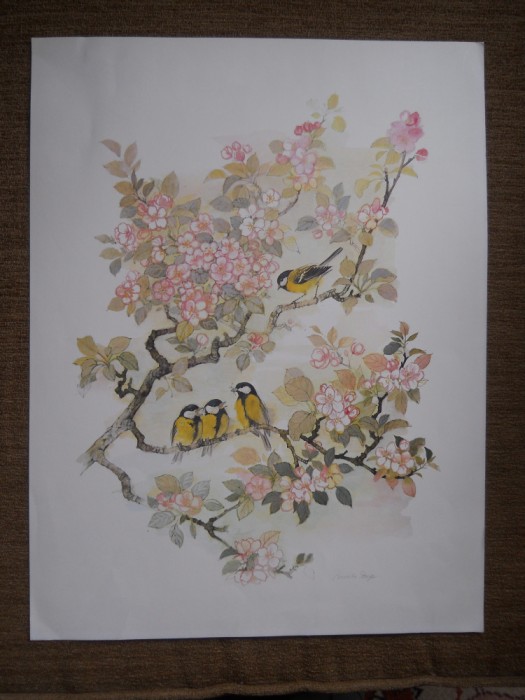 Litografie print,semnata in placa Mads Stage,40x30,5cm(vezi descriere)
