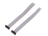 Cablu panglică SAMTEC IDC 609,6mm FFSD-08-D-24.00-01-N cu conectori IDC ambele părți
