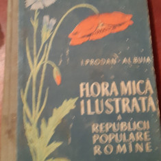 FLORA MICA ILUSTRATA A RPR