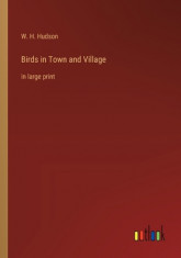 Birds in Town and Village: in large print foto