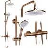 Set dus Rea Foss Clif Brush Copper